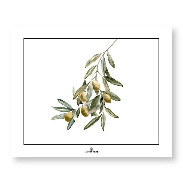 Manor Road Wild Olives Placemat 30pk