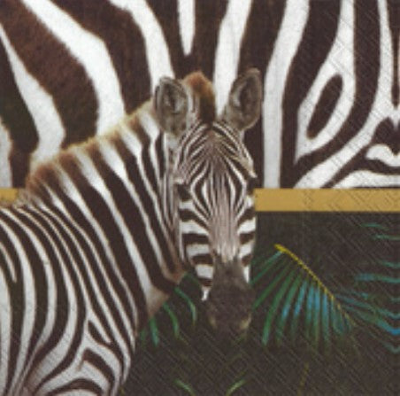 Manor Road Wild Stripes Cocktail Napkin 20pk