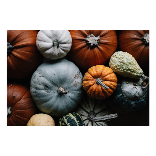 Zela Place Mats Pumpkin Patch 25pk