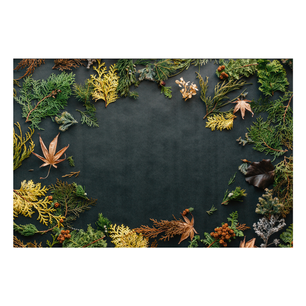 Zela Place Mats Fall Foliage 25pk