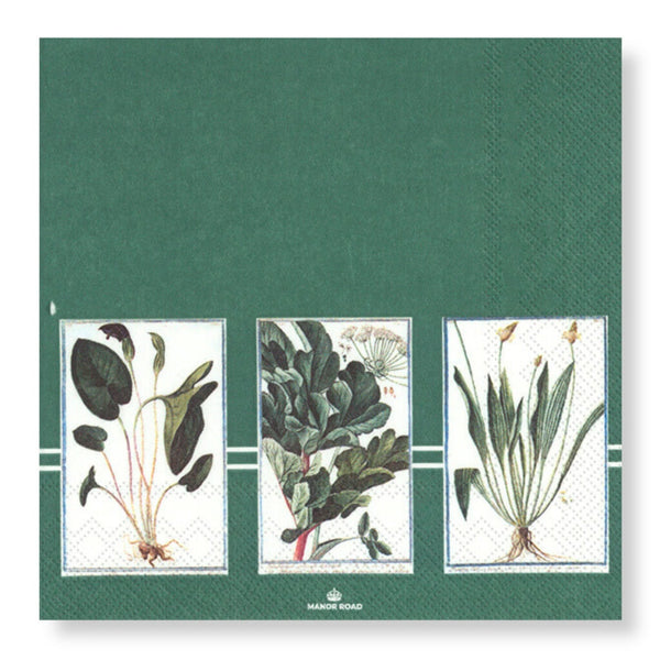 Manor Road Verde Luncheon Napkin 20pk