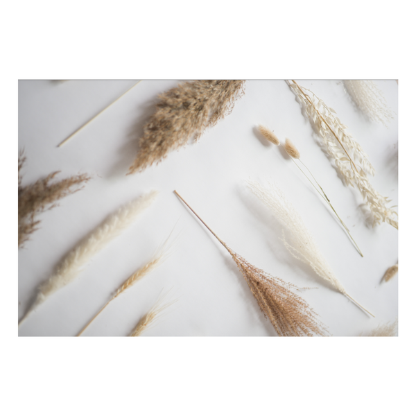 Zela Place Mats Pampas   25pk