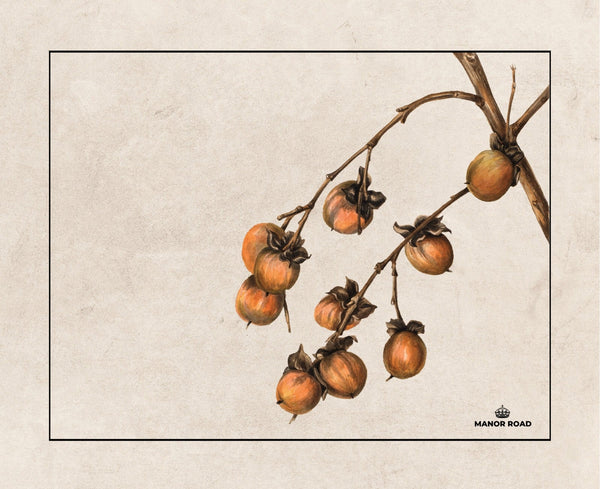 Manor Road Persimmon Placemat 30pk