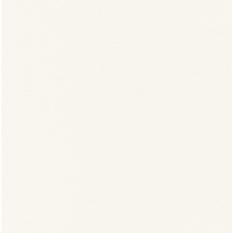Pack Service Napkins Airwave Color Bianco Airlaid 24x24