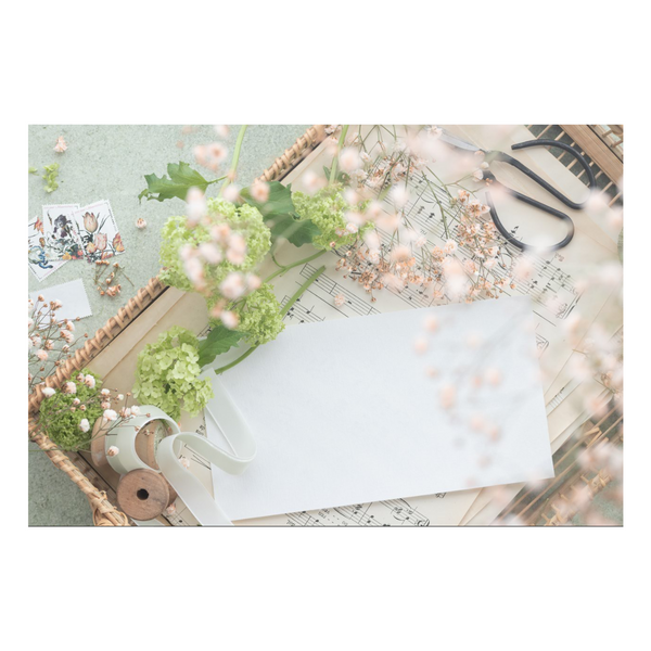 Zela Place Mats Spring Song   25pk