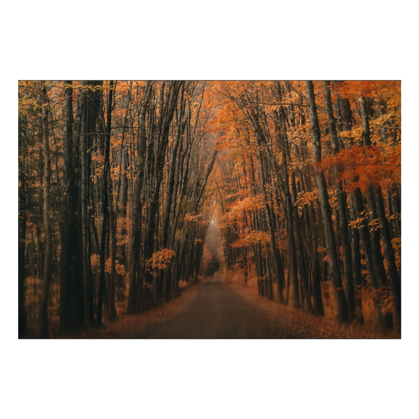 Zela Place Mats Autumn Glow   25pk