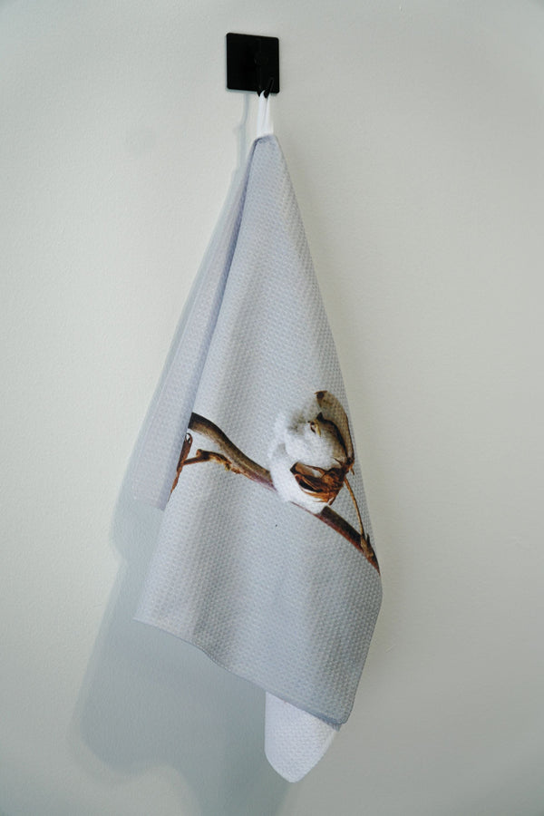 Zela Microfiber Dish Towel Cotton   45x65Cm